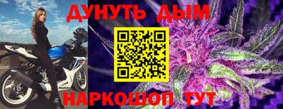 мдпв Камышлов