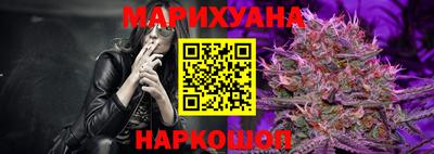 мдпв Камышлов