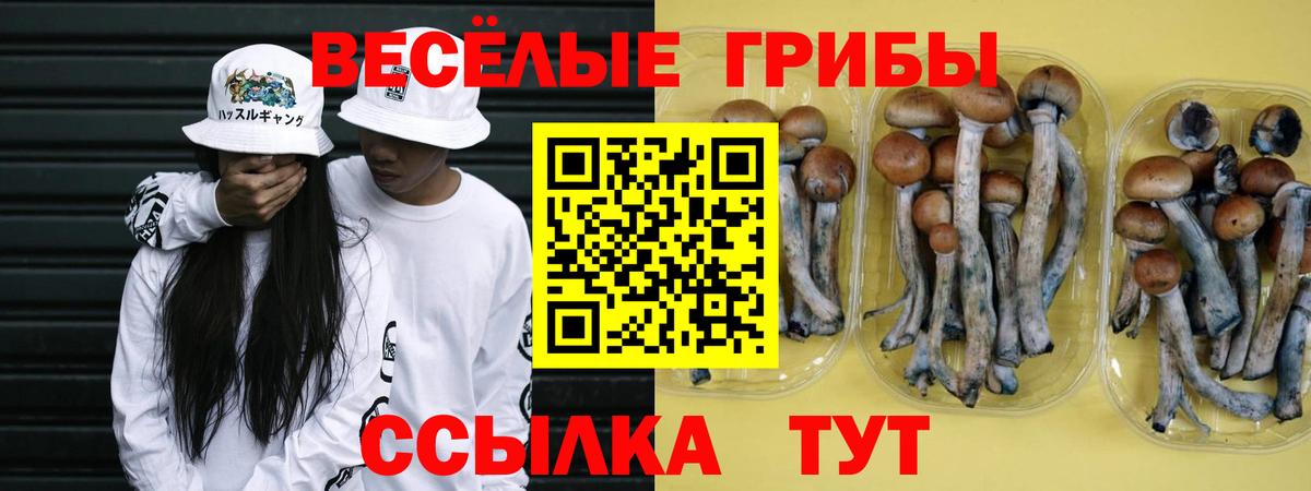 Псилоцибиновые грибы прущие грибы Слободской