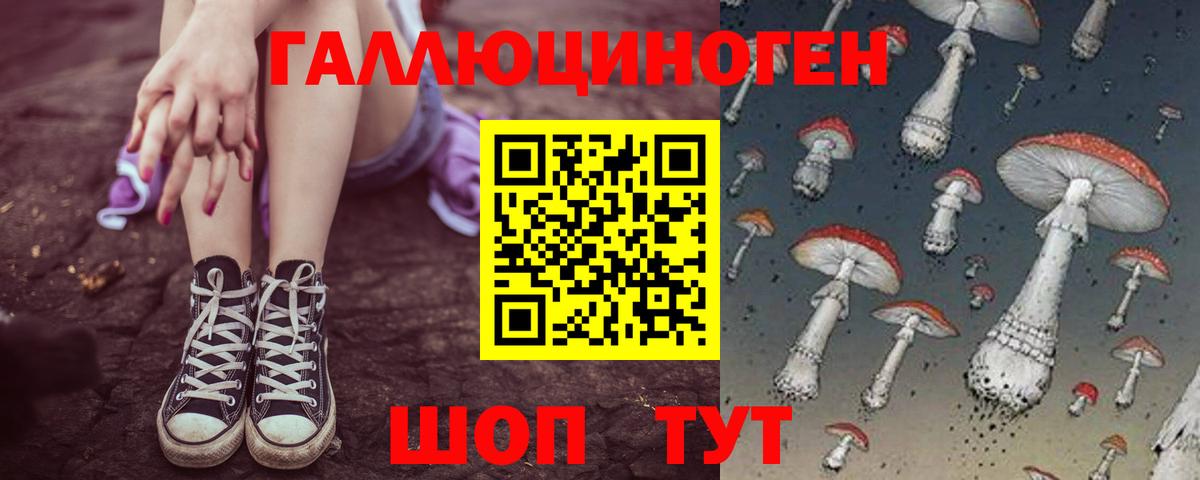 Слободской  Галлюциногенные грибы прущие грибы  Псилоцибиновые грибы GOLDEN TEACHER  Вход с VPN 