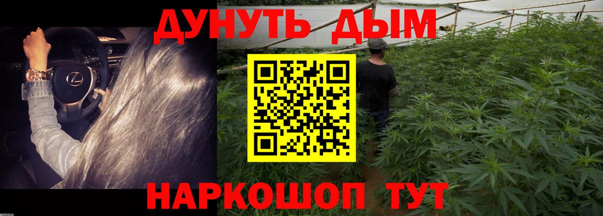 Конопля Amnesia Слободской
